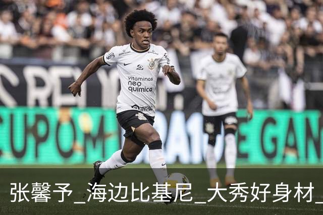 张馨予 海边比基尼 大秀好身材 肉欲满满 觉得美的留下评论