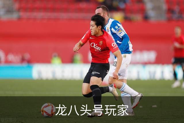 龙八头号玩家企业简介